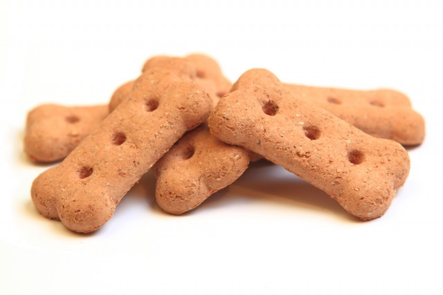 biscotti-per-cani