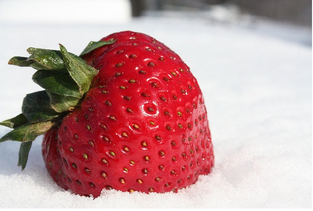 strawberry-snow
